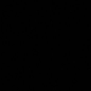 Meet your Posher, Clarissa